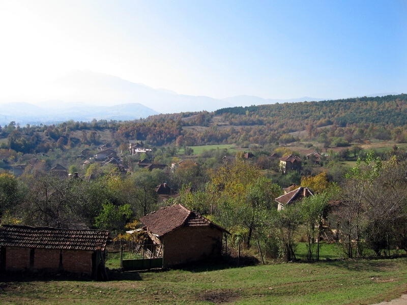 Алея на чинарите е изградена в село Драганица община Вършец