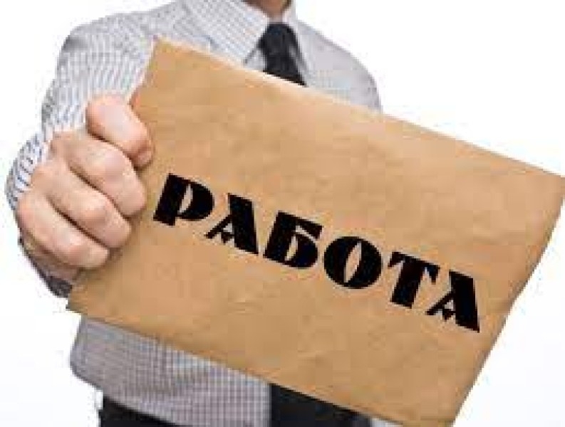 Търсите работа? Вижте свободните позиции в Северозапада /пълен списък/