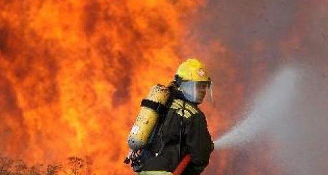 Пожар унищожи 200 дка зрял ечемик в землището на село