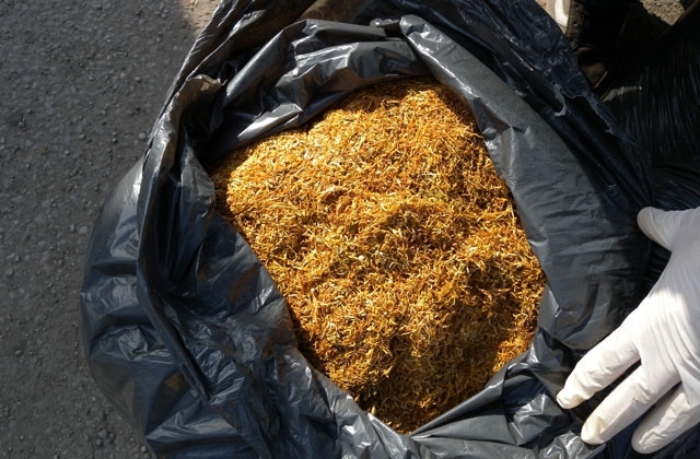 Полциията иззе незаконен тютюн при акция в Мездра съобщиха от