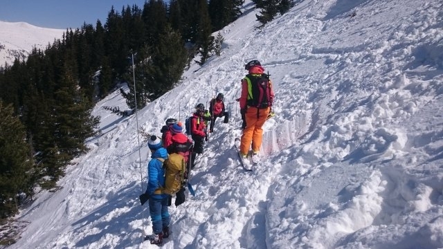 В определени случаи става въпрос за липсата на система