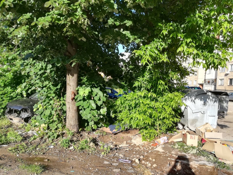 Зелените площи между блоковете 38 и 39 в ж к