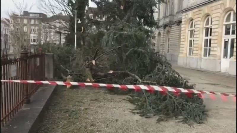 Силна буря взе жертва и причини сериозни щети в Белгия.