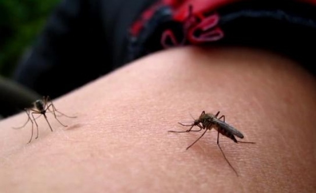 Пръскането против комари край Козлодуй започва по график от днес