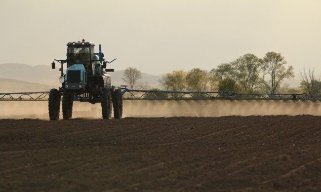 Над 1 000 заявления са подадени в първия ден от