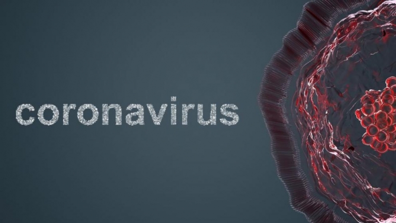 Над 550 са вече починалите от новия коронавирус в Испания предаде