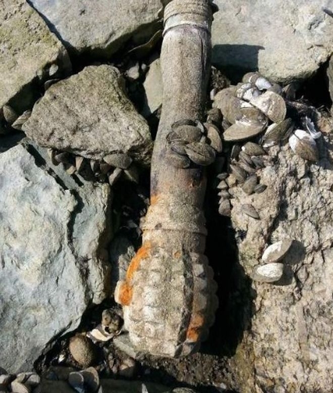 Към 13 часа вчера в полицейски участък Огоста в Монтана е