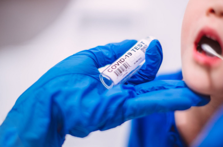 През изминалия ден на територията на област Монтана има установени