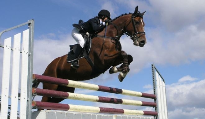 Традиционен турнир по конен спорт ще се проведе в Хайредин