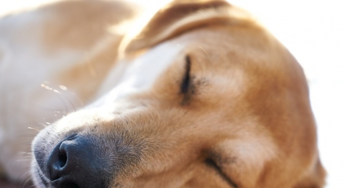 Районен съд Монтана наказа с глоба от 1000 лева