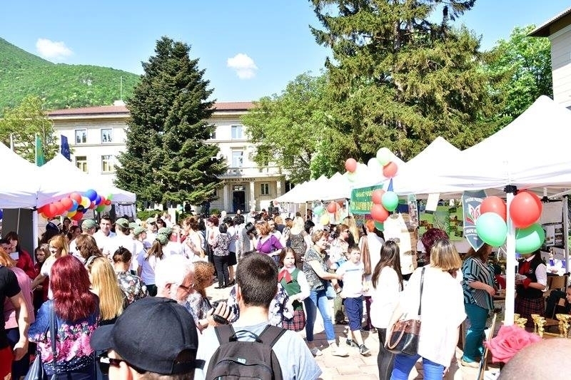 По традиция училищата професионалните гимназии и филиалите на висши учебни