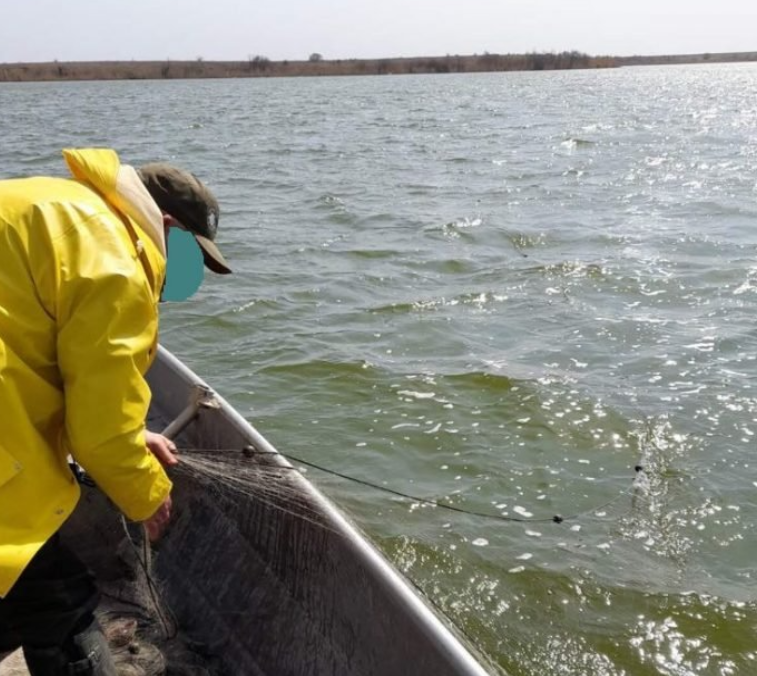 Извадиха незаконни риболовни уреди от Дунав научи BulNews Служители на ИАРА