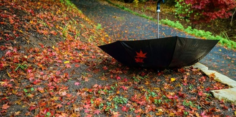 Днес през страната ще премине студен атмосферен фронт Ще е