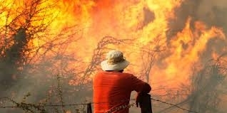 Хиляди бяха принудени да бягат от големи горски пожари в
