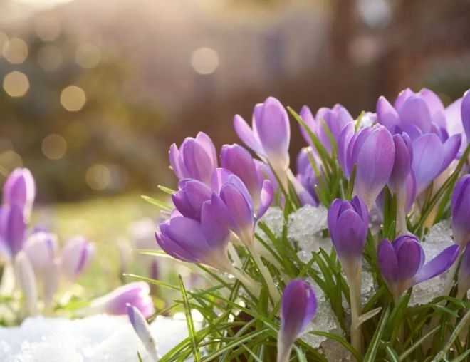 Атмосферното налягане ще бъде близко до средното за месеца През