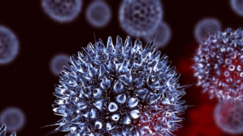 Бактериалните инфекции са втората водеща причина за смъртните случаи по света