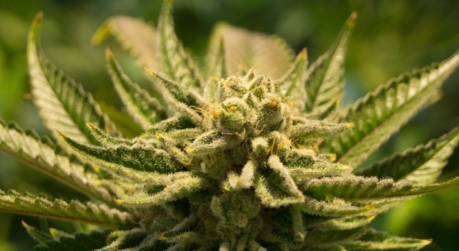 Полицейски служители на РУ Сандански проведоха акция по линия на противодействие