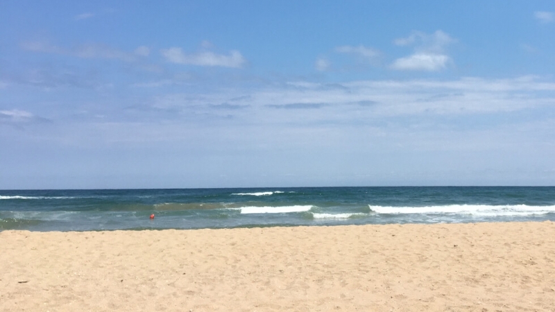 Министерският съвет взе решение да бъдат открити процедури за възлагане