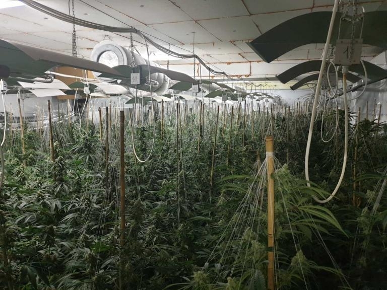 Домашна нарколаборатория разкриха полицаи от Плевен при спецоперация съобщиха от