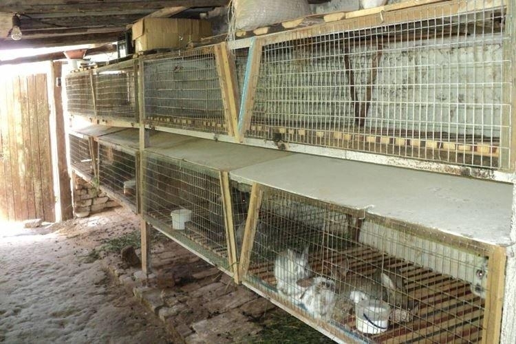 Мъж е откраднал клетки за зайци от къщата на съселянин