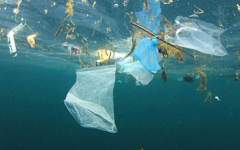 В Черно море се увеличава количеството на пластмасови отпадъци Това