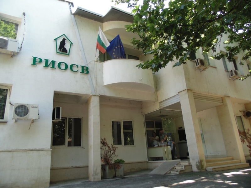 Общо 9 проекта на кметства училища и детски градини от