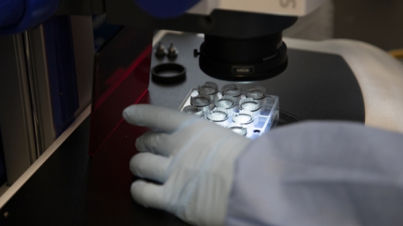 Четири проби от пациенти със съмнение за зараза с коронавирус