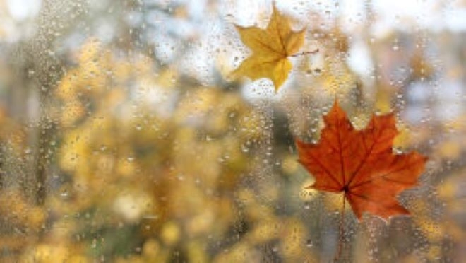 Нова порция валежи ни очакват през новата седмица, ето къде ще са по-значителни