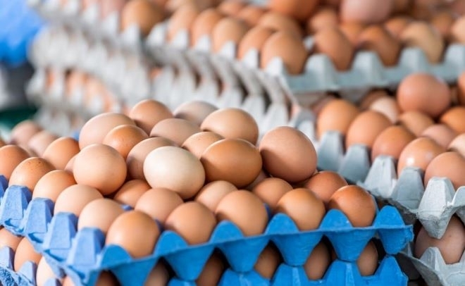 На места в страната яйцата продължават да поскъпват показват данните