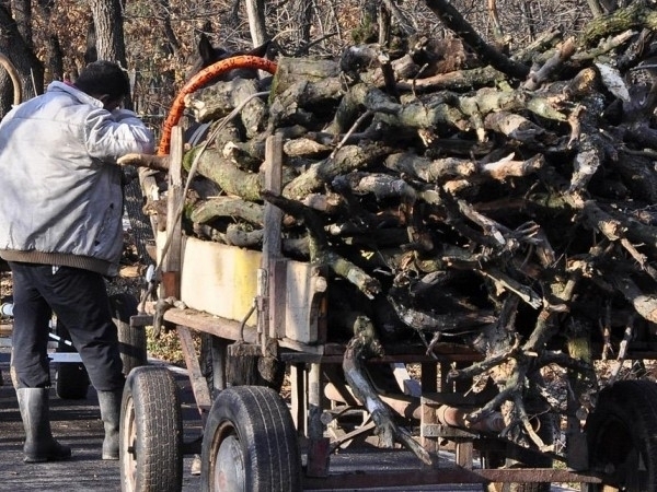 Служители на реда са хванали бракониер на дърва в монтанското