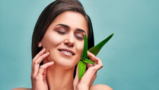 Има повече от 300 разновидности на растението алое но най известното