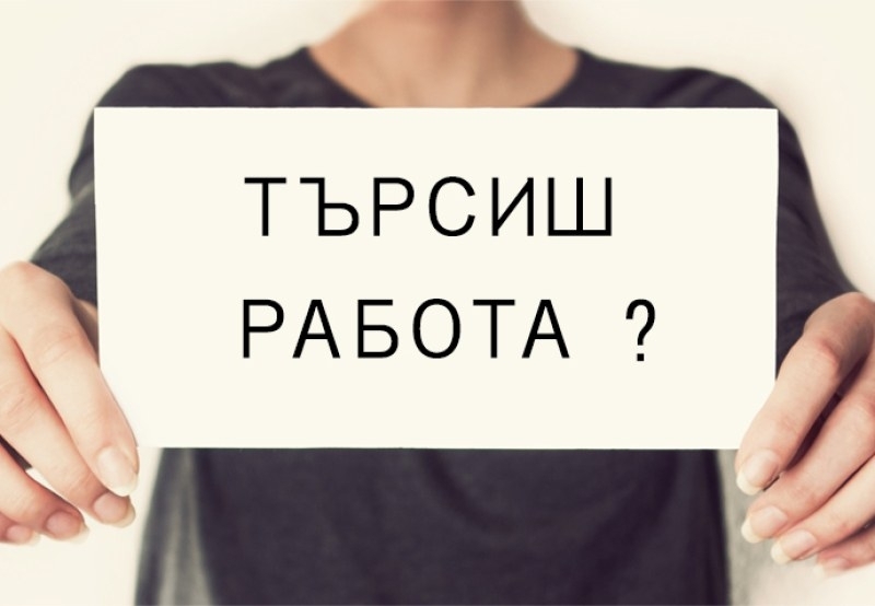 Нямате работа? Вижте какви кадри търсят видинските шефове