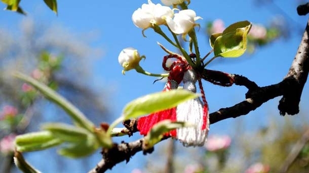 Днес по обяд в най голямото мездренско село Зверино кметството и