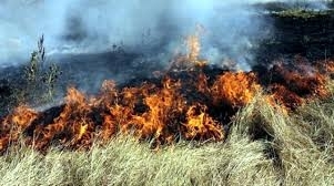 Шест пожара в сухи треви и храсти са гасили вчера