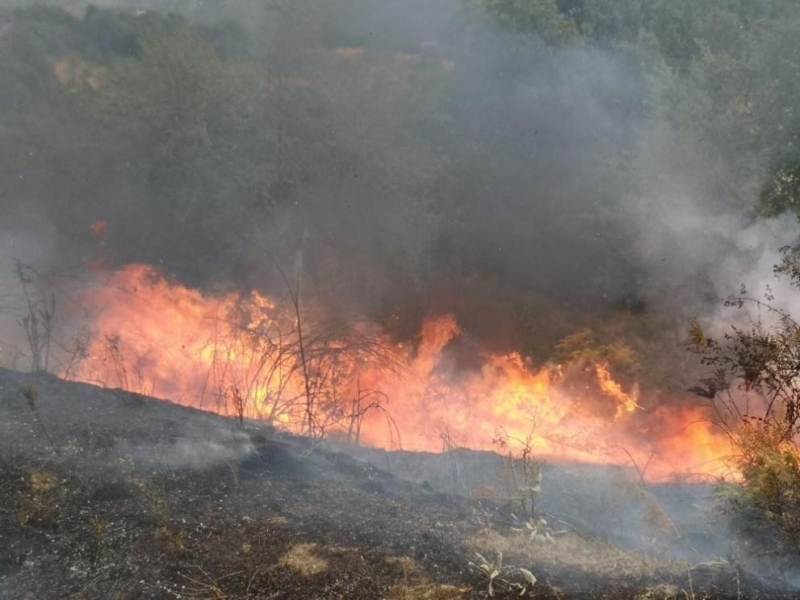 Над 150 дка пожари в сухи треви и храсти са