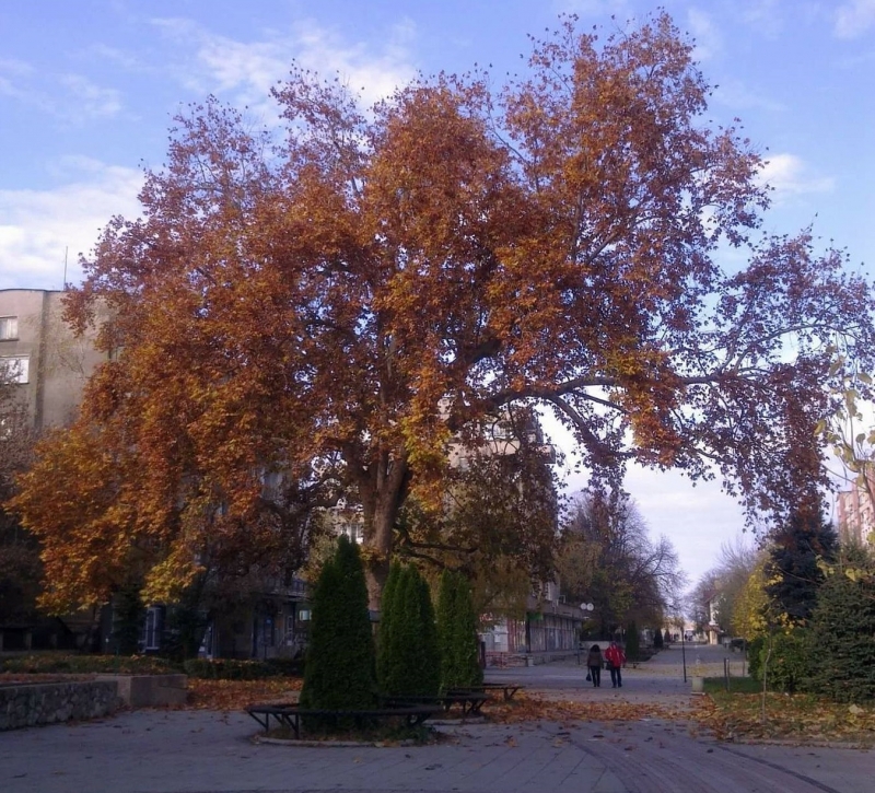 Стартира изработването на нов общ устройствен план ОУП на община