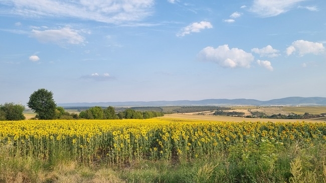 Днес ще е предимно слънчево съобщиха от Националния институт по