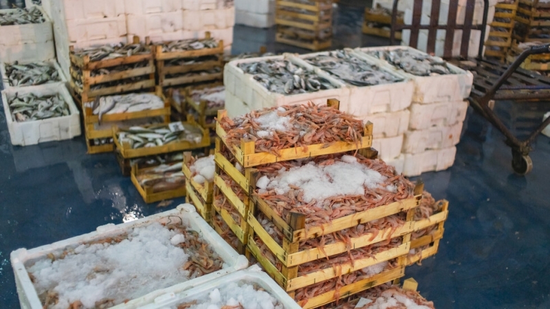 Общо 320 килограма кокаин са открили пристанищните служби в гръцкото