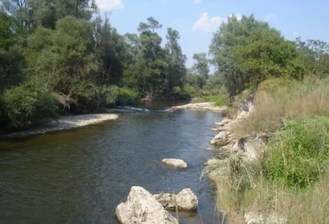 Tонове мъртва риба бяха открити в река Искър близо до