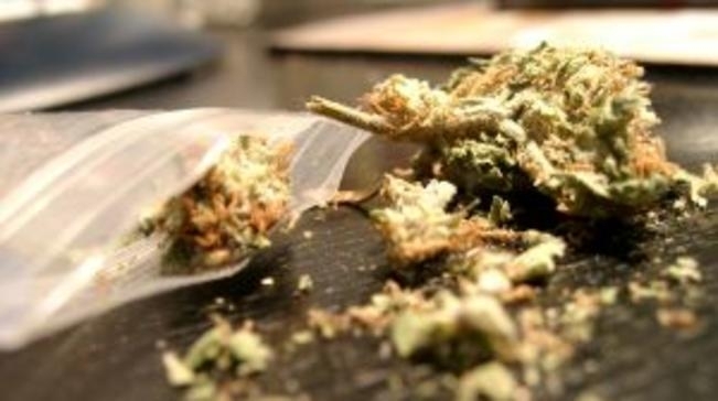 Полицията е спипала двама с канабис във Врачанско съобщиха от