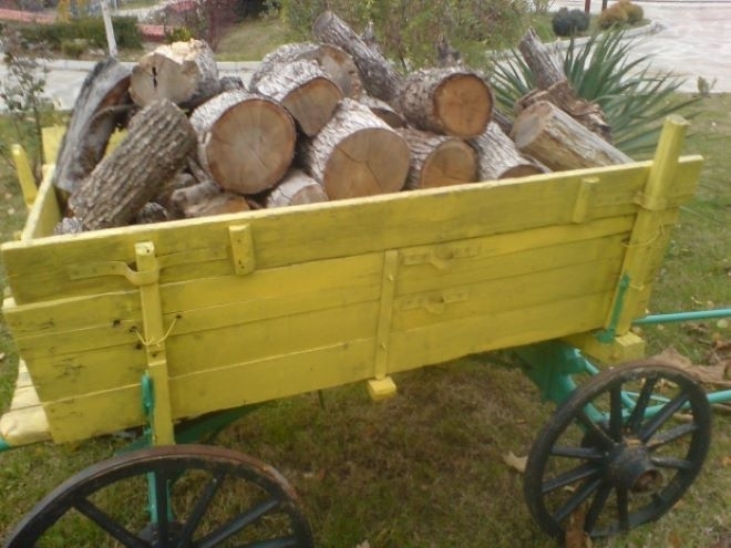 Хванаха 15 годишен с каруца с незаконни дърва в монтанско село