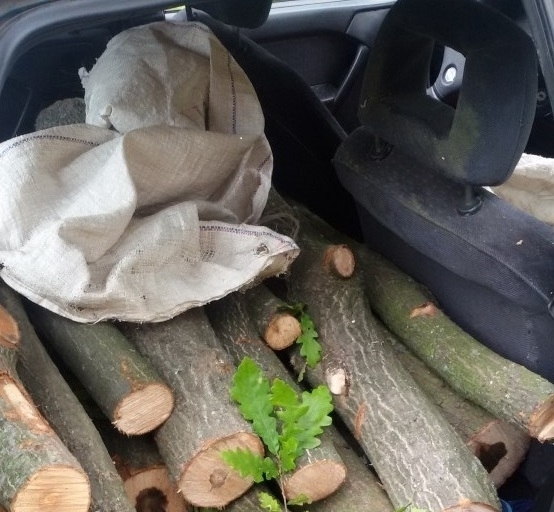 Полицаи засекли мъж да кара дърва за огрев в колата