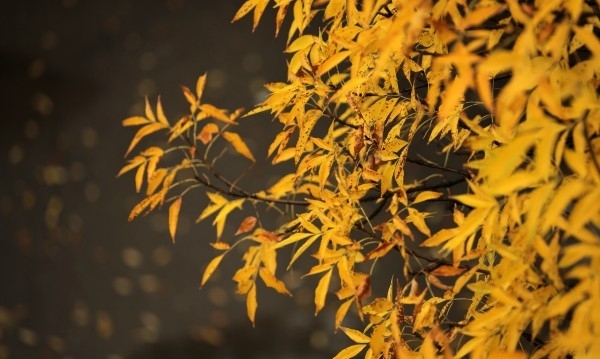 Днес над по голямата част от страната облачността ще е значителна