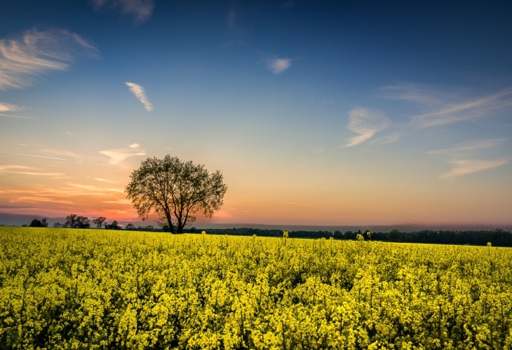 Днес преди обяд над по голямата част от страната ще бъде слънчево След обяд ще