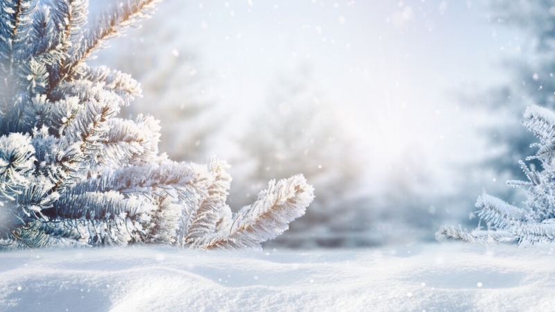 В събота ще бъде облачно ветровито с валежи от сняг