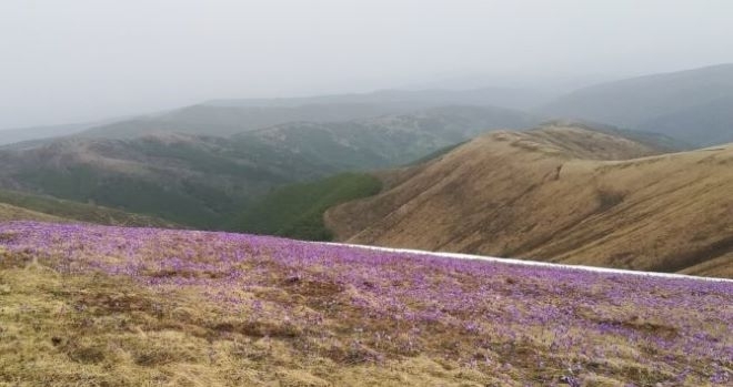 На Трети март предиобед над Югозападна България ще преобладава слънчево време