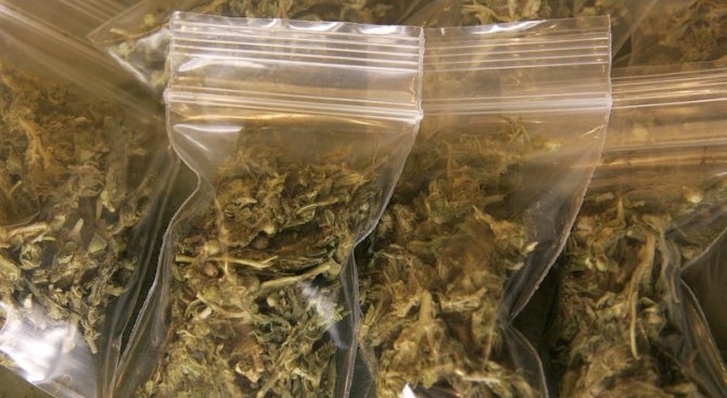 Полицаи са намерили наркотици в дома на младеж от Монтана