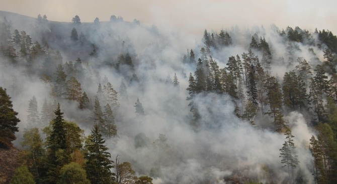 Втори ден гори пожарът който пламна в Рила край хижа Чакалица