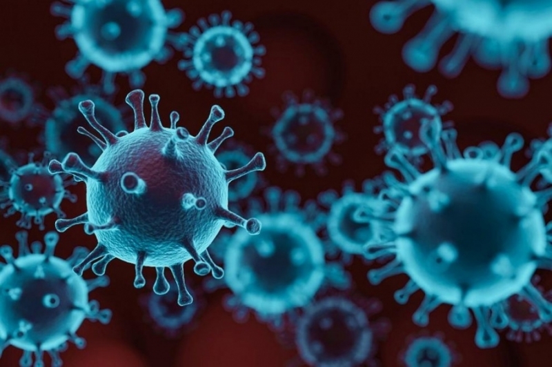 От Регионалната здравна инспекция съобщиха подробности за новозаразените с коронавирус