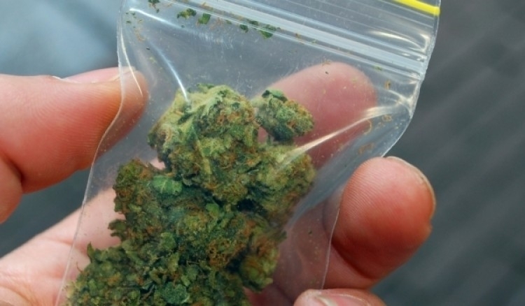 Вчера полицаи заловили изпечен бандит с топче канабис в Оряхово